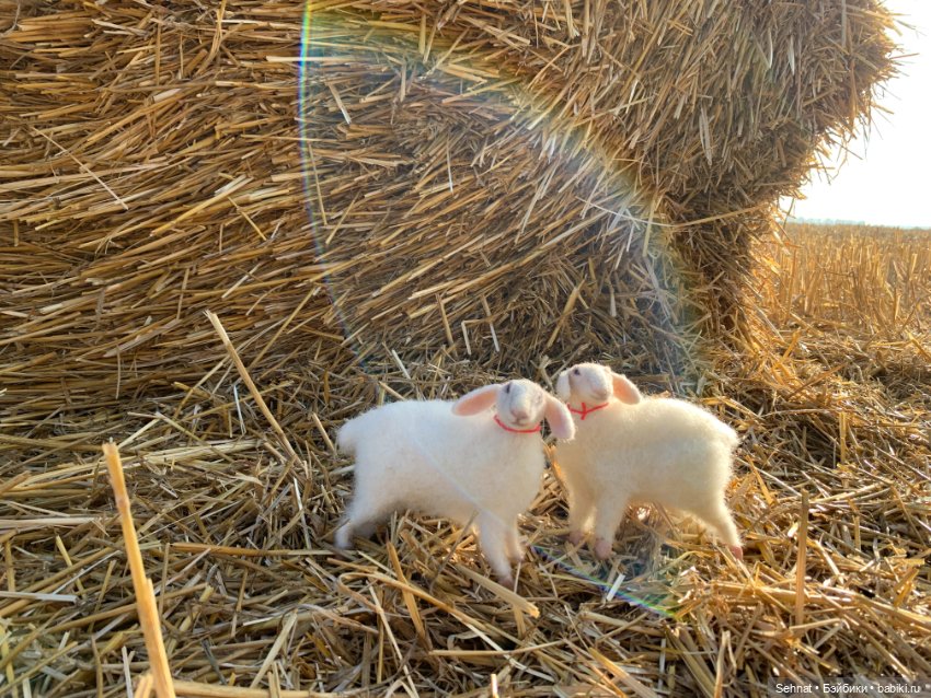 Август таял в янтарном меду