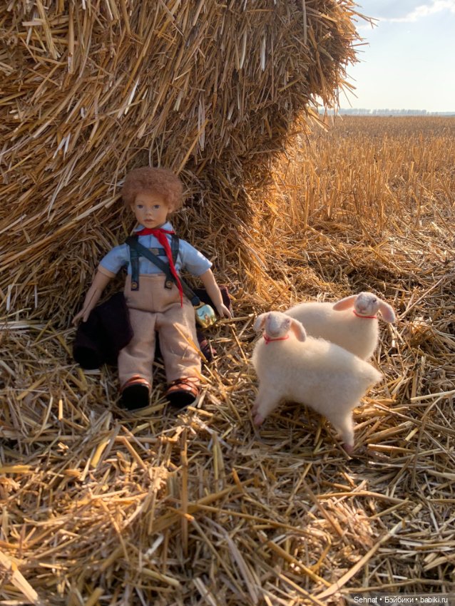 Август таял в янтарном меду (фото 3)