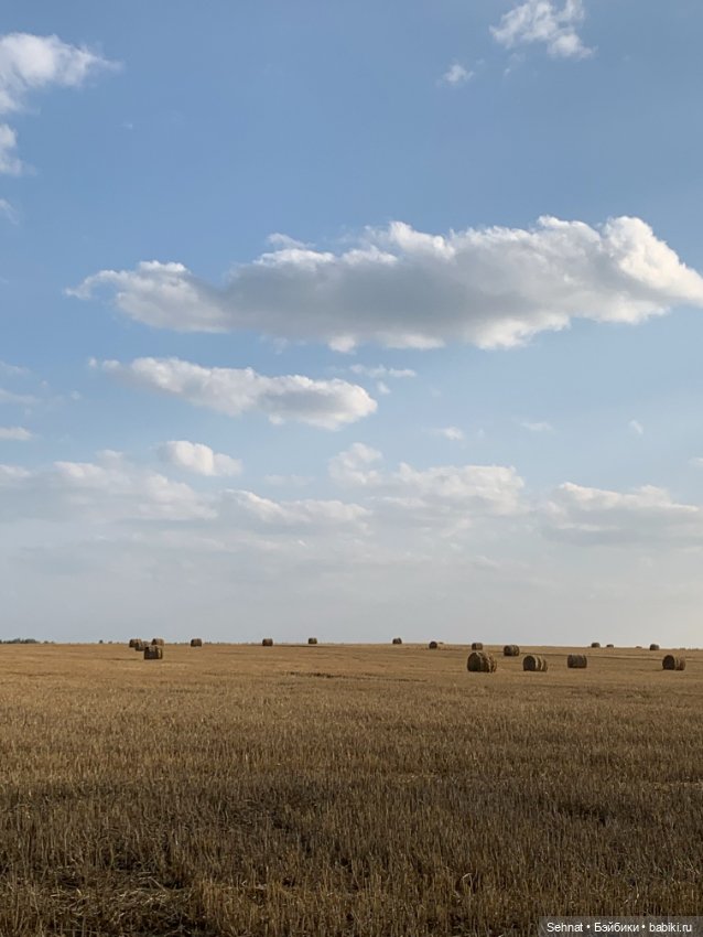 Август таял в янтарном меду (фото 4)