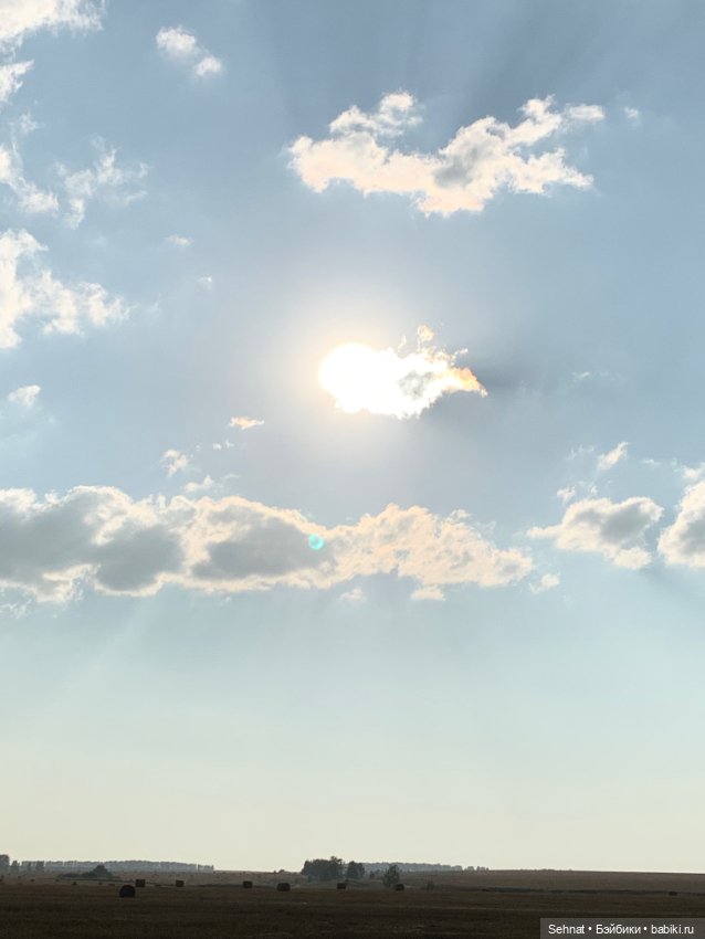 Август таял в янтарном меду (фото 7)