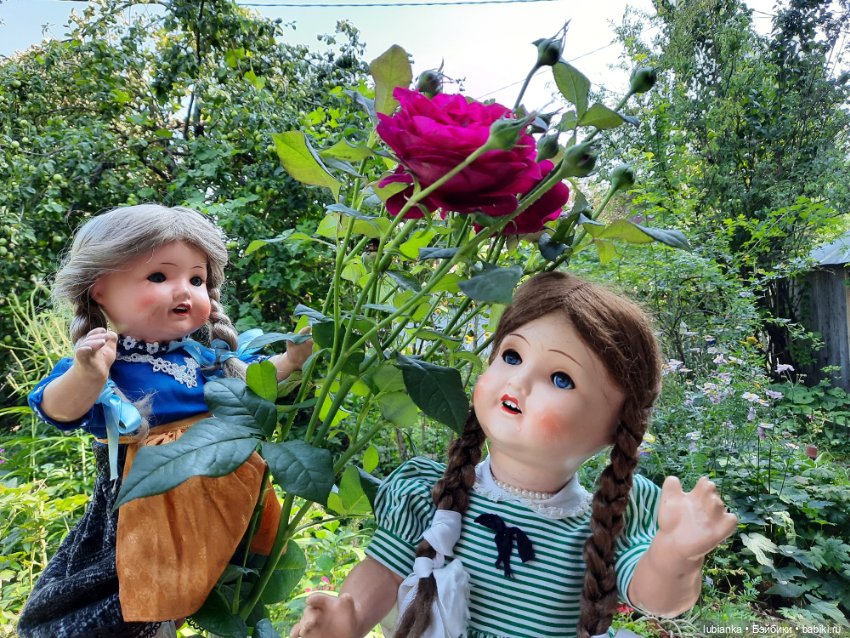 Арина и Марина — Винтажные куклы ГДР (Немки): Бигги (фото 10)