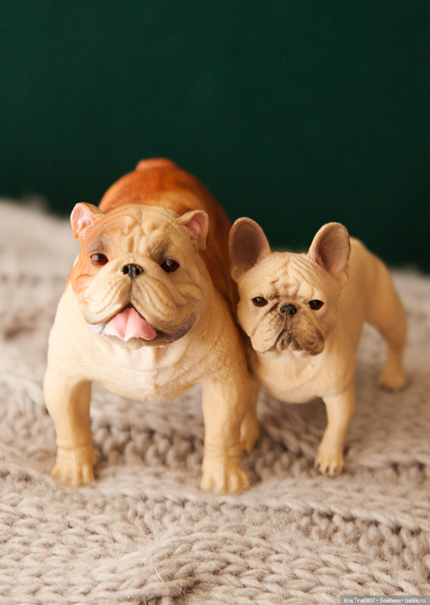 Четвероногие друзья - Фрэнк и Фрида