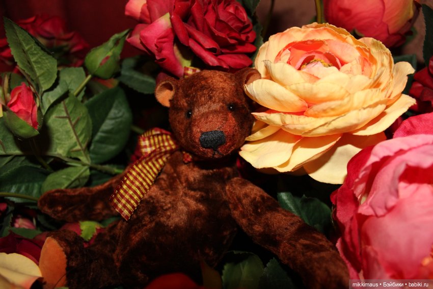 Мишки Тедди — Авторские мишки Тедди и друзья: фото (фото 3)