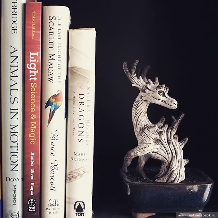 Хранители домашних садов авторства Emily Coleman (фото 8)