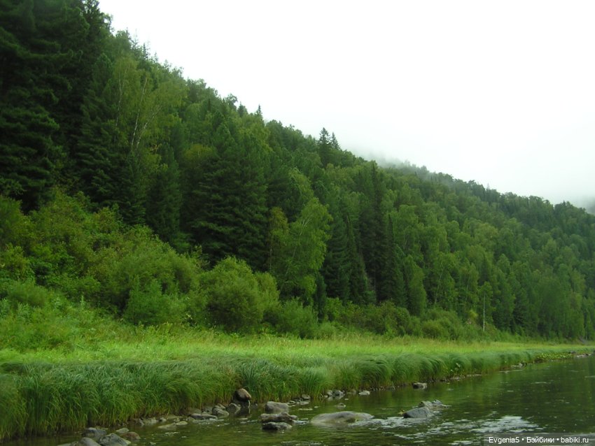 А я еду, а я еду за туманом