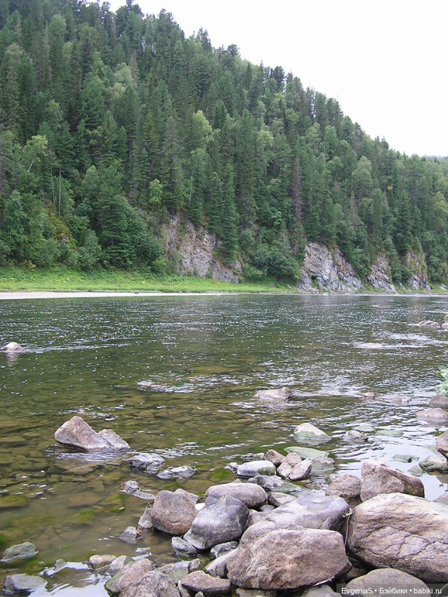 А я еду, а я еду за туманом