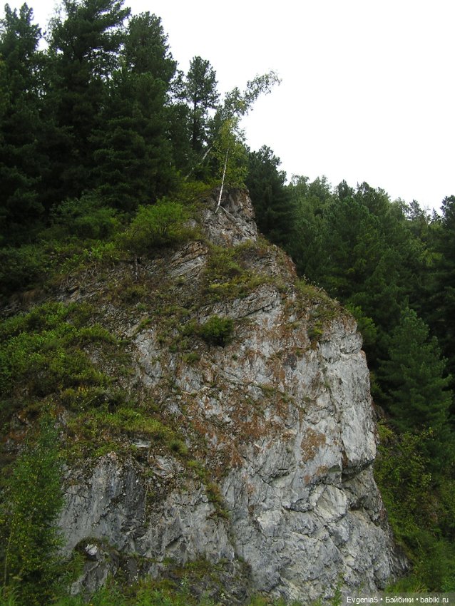 А я еду, а я еду за туманом