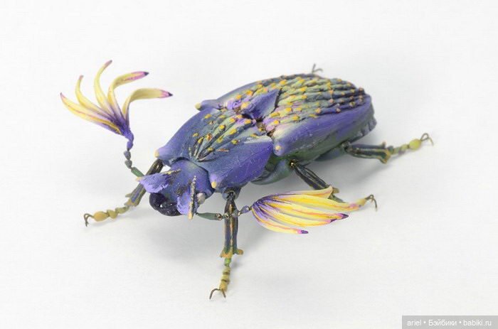 Гиперреалистичные насекомые Hiroshi Shinno