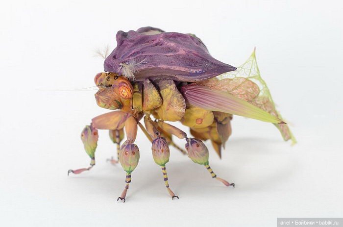 Гиперреалистичные насекомые Hiroshi Shinno (фото 7)