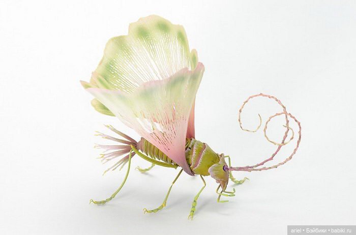 Гиперреалистичные насекомые Hiroshi Shinno (фото 2)