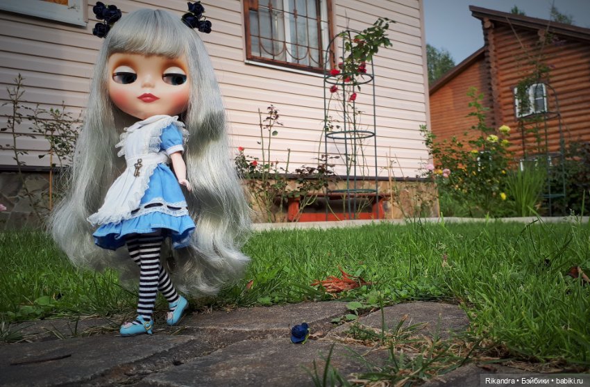 Blythe которая гуляет сама по себе