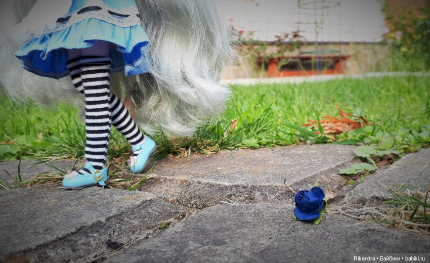 Blythe которая гуляет сама по себе