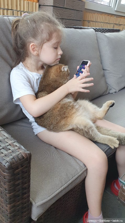 Мой кот — Болталка и разговоры обо всем: жизнь