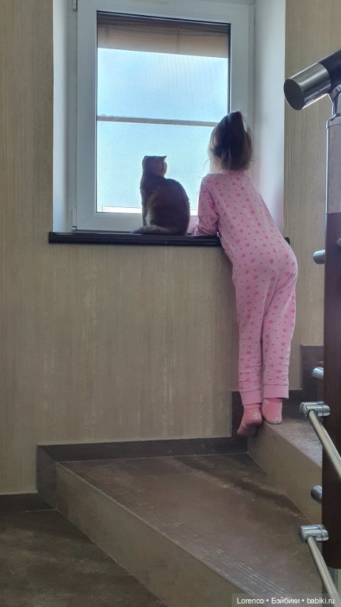 Мой кот — Болталка и разговоры обо всем: жизнь