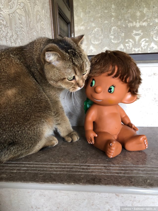 Мой кот — Болталка и разговоры обо всем: жизнь