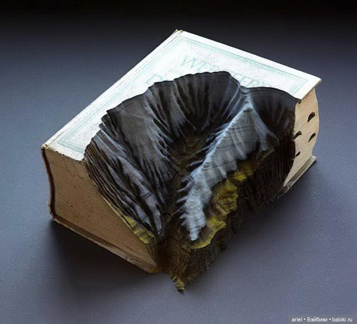 Книжные скульптуры Guy Laramee (фото 6)