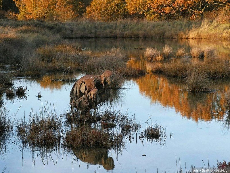 Пугающие фигуры-скульптуры от Софи Престиджакомо (Sophie Prestigiacomo) (фото 7)
