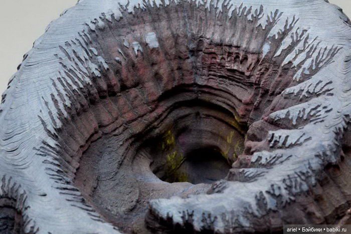 Книжные скульптуры Guy Laramee (фото 2)