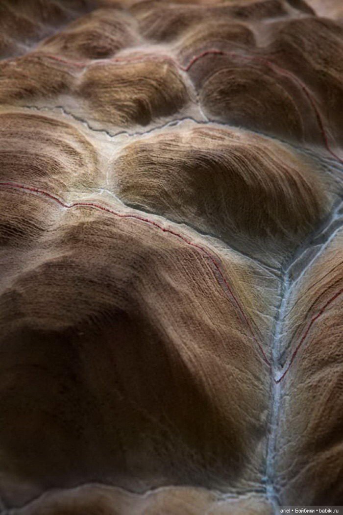 Книжные скульптуры Guy Laramee