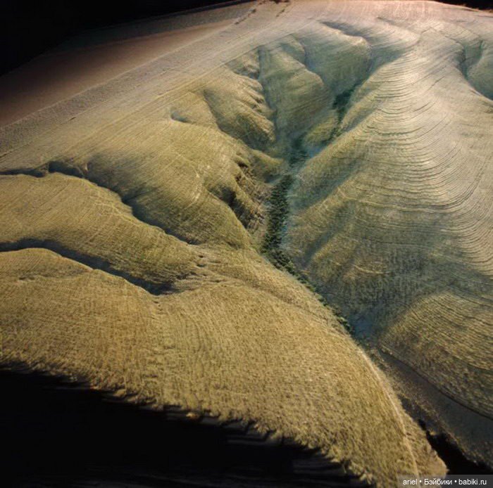 Книжные скульптуры Guy Laramee