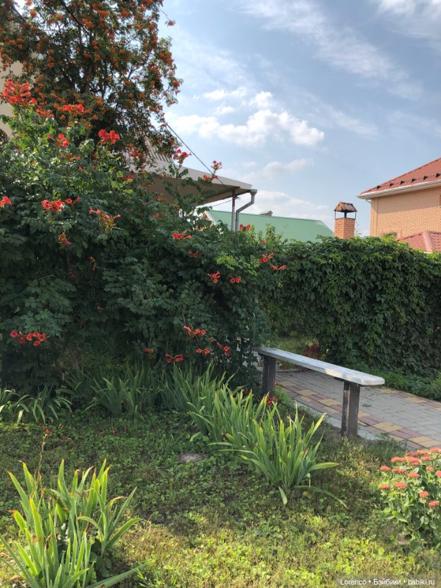 Запах осени — Болталка и разговоры обо всем: жизнь