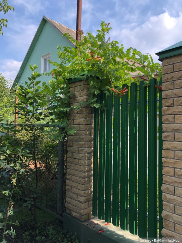 Запах осени — Болталка и разговоры обо всем: жизнь