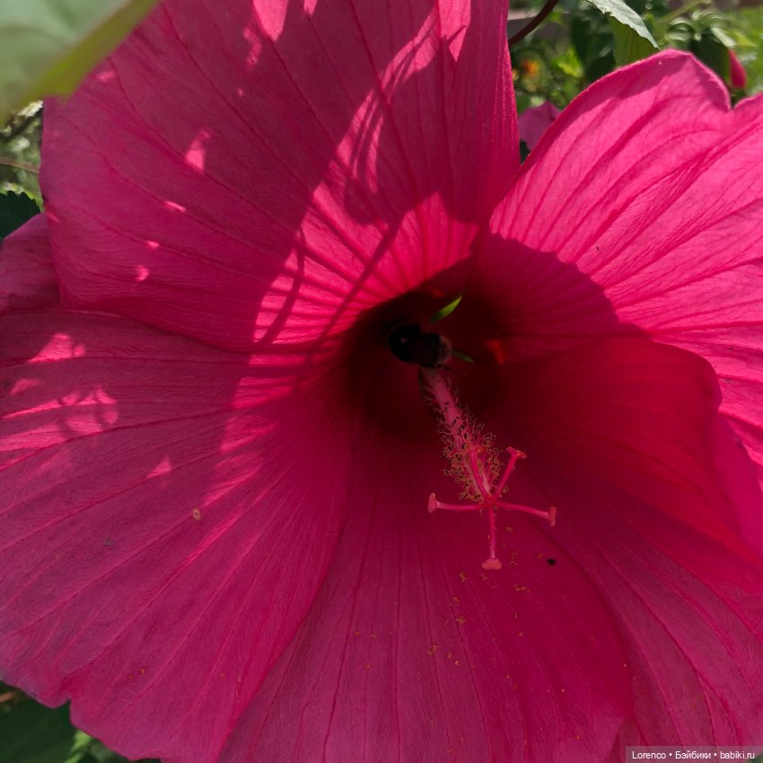 Запах осени — Болталка и разговоры обо всем: жизнь (фото 9)