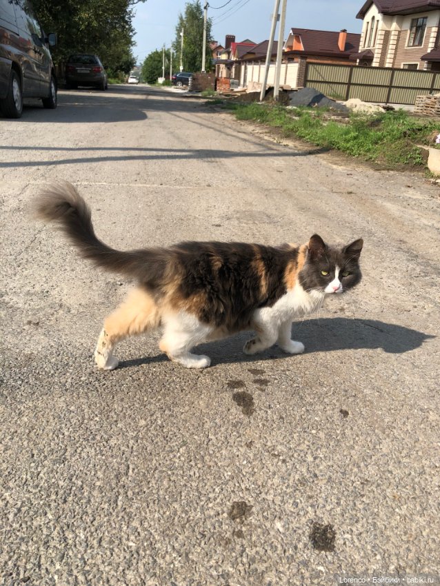 Запах осени — Болталка и разговоры обо всем: жизнь