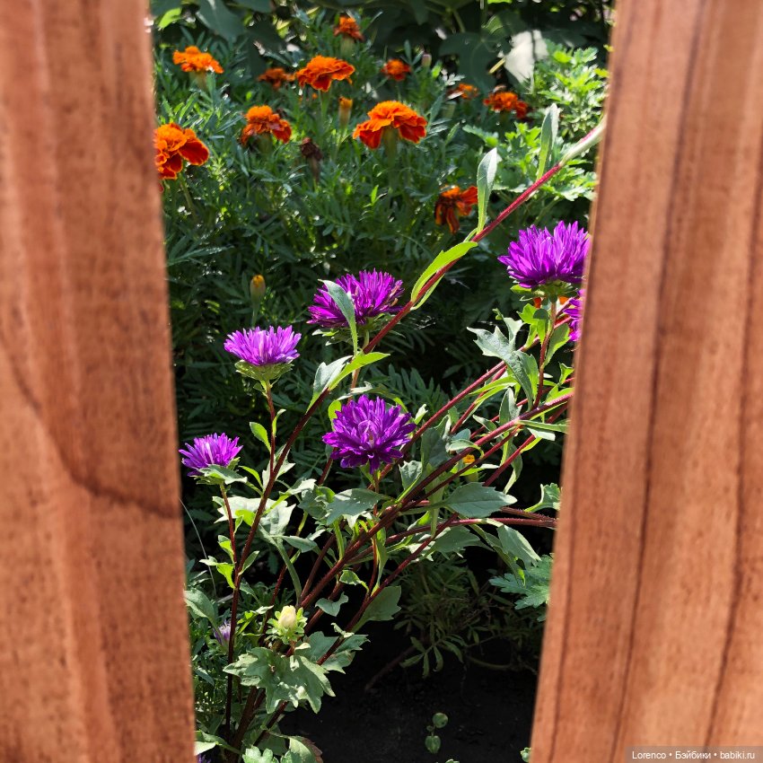 Запах осени — Болталка и разговоры обо всем: жизнь