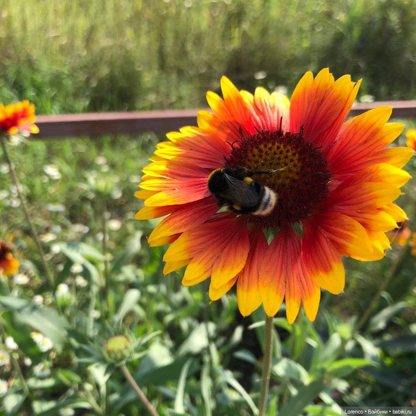 Запах осени — Болталка и разговоры обо всем: жизнь