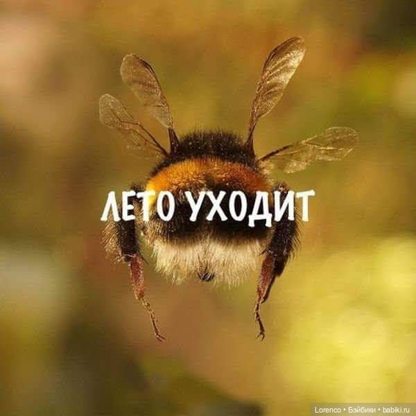 Запах осени — Болталка и разговоры обо всем: жизнь