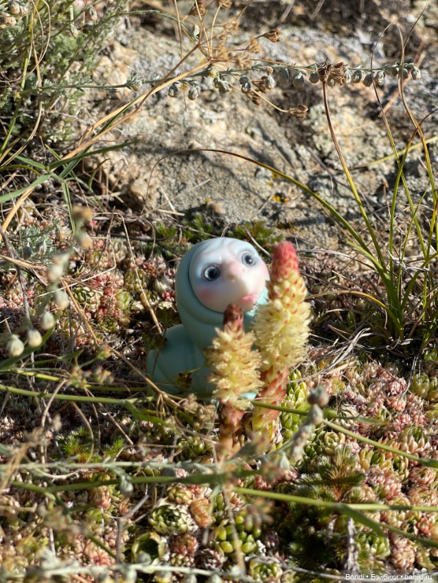 Байкал. Сахюрта с другой стороны