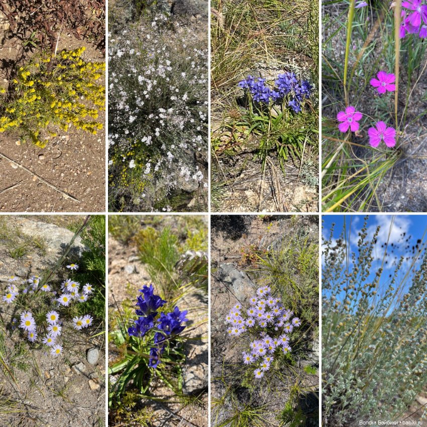 Байкал. Сахюрта с другой стороны