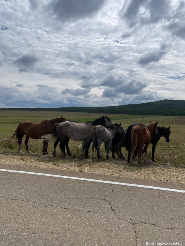 Байкал. Сахюрта с другой стороны