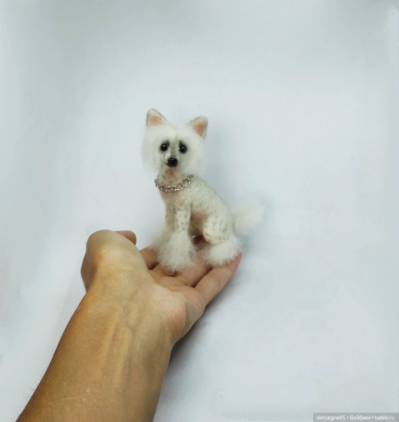 Китайская хохлатая собачка