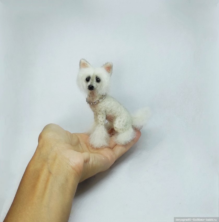 Китайская хохлатая собачка (фото 7)