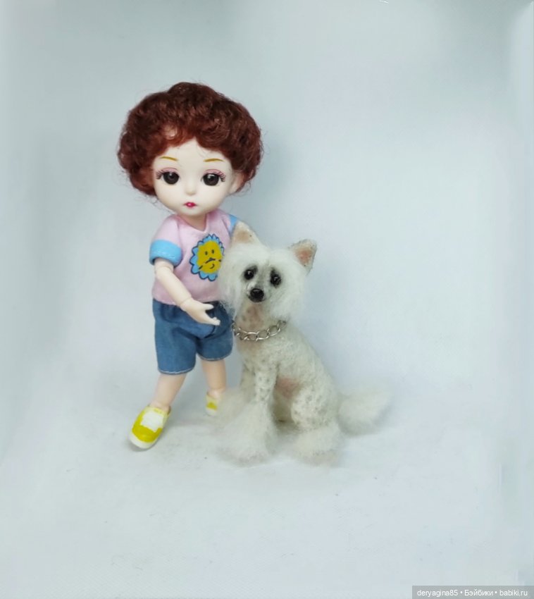 Китайская хохлатая собачка (фото 10)