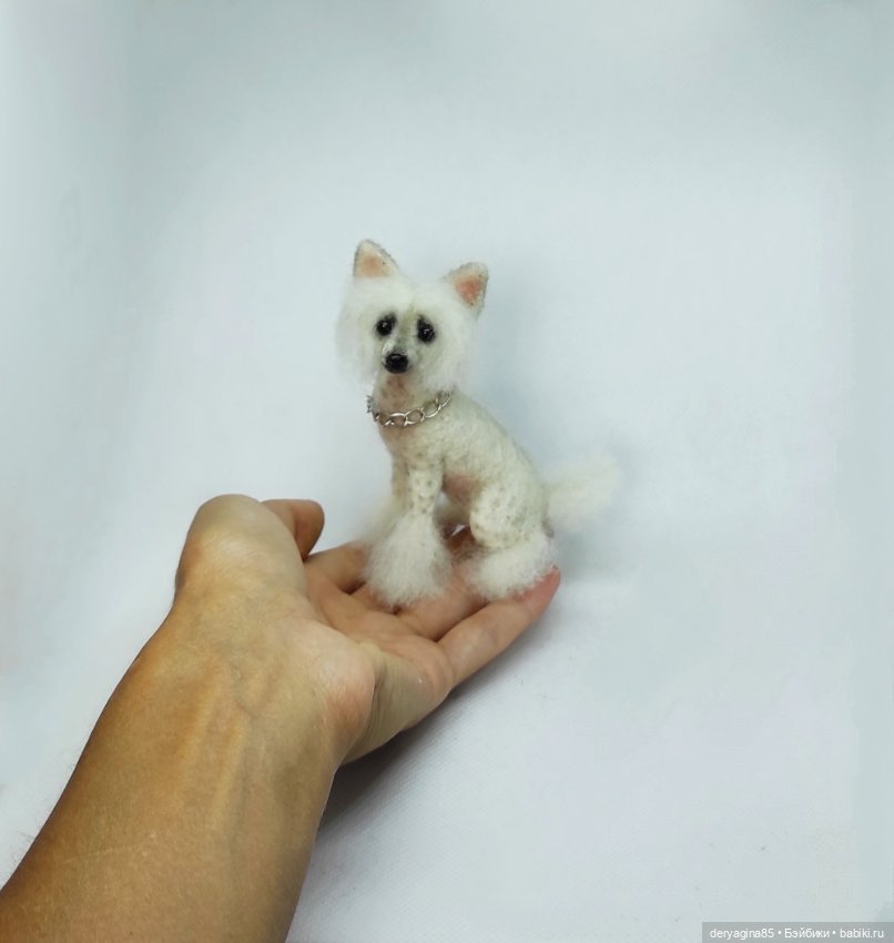 Китайская хохлатая собачка (фото 6)