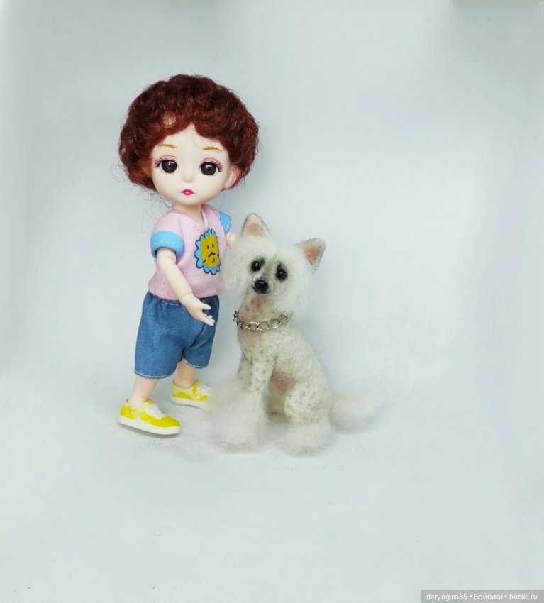 Китайская хохлатая собачка