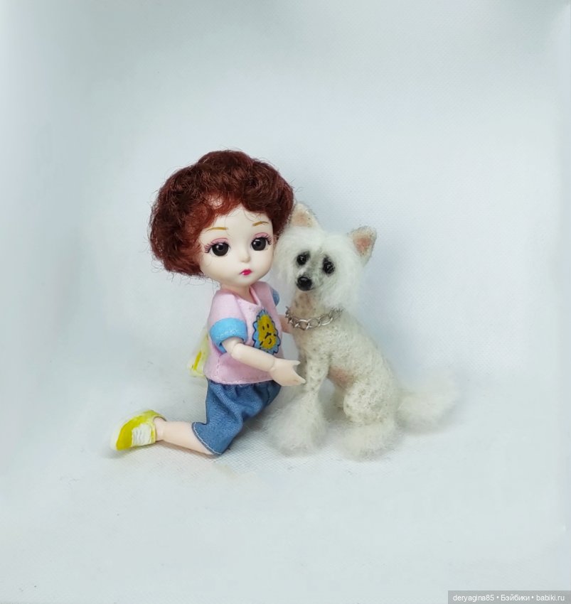 Китайская хохлатая собачка (фото 9)