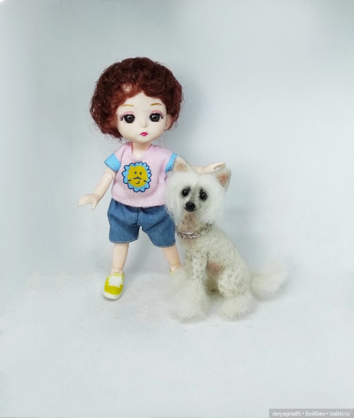 Китайская хохлатая собачка (фото 8)