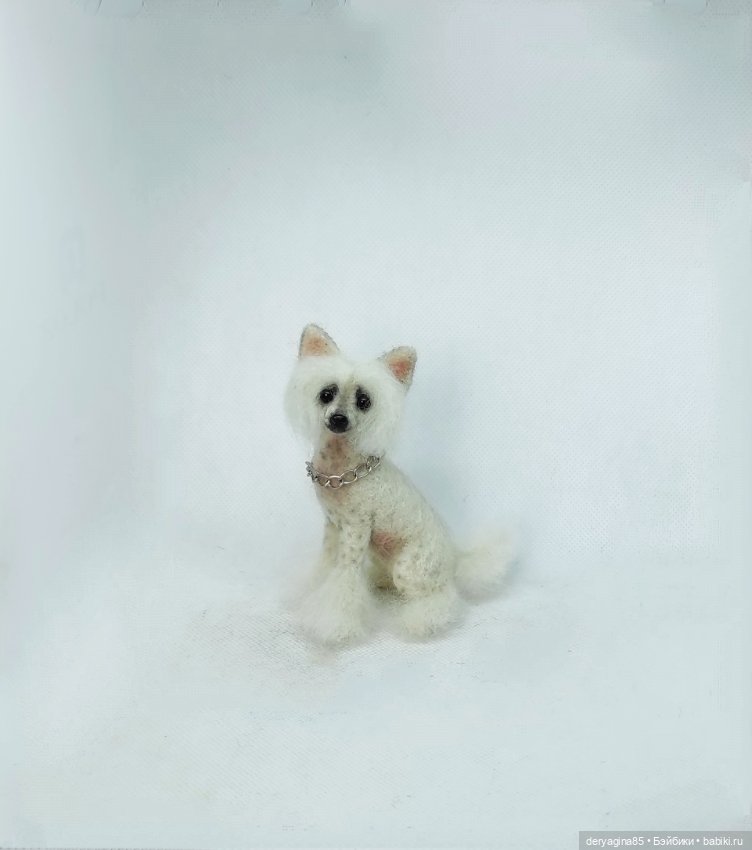 Китайская хохлатая собачка (фото 2)