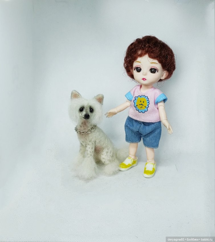 Китайская хохлатая собачка