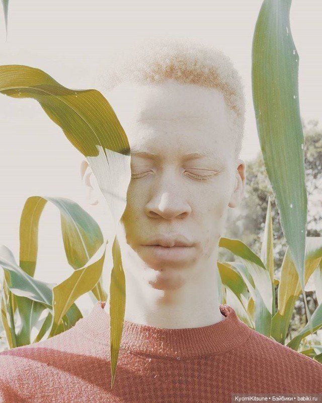 Размышления о Кене бмр — Болталка и разговоры обо всем: жизнь (фото 2)