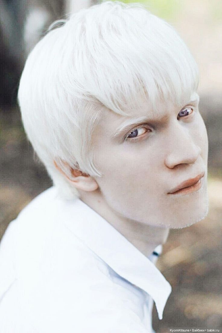 Размышления о Кене бмр — Болталка и разговоры обо всем: жизнь (фото 8)