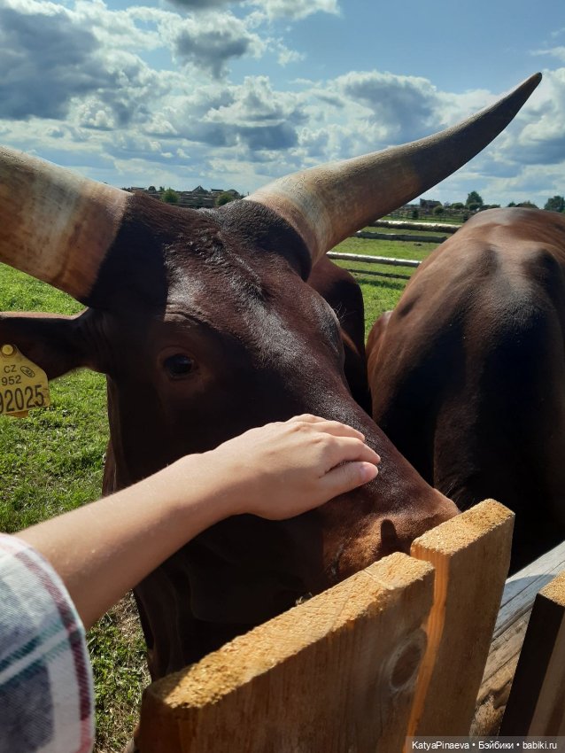 Обновки для Сонечки и немного фото с прогулки