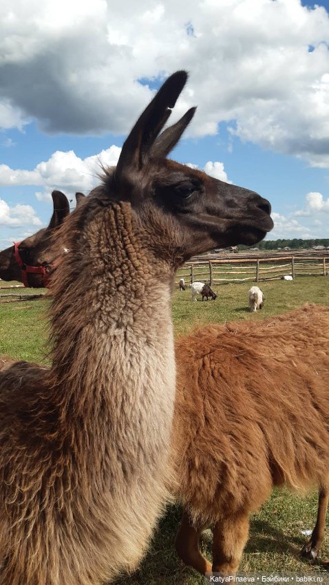 Обновки для Сонечки и немного фото с прогулки