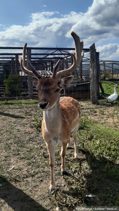 Обновки для Сонечки и немного фото с прогулки