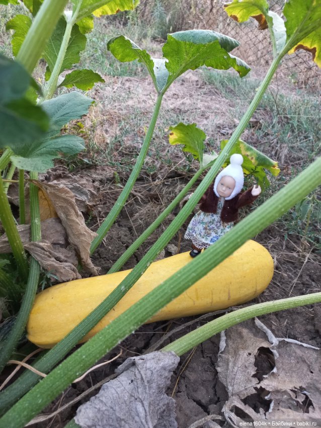 Собираем урожай — Куклы Минимир (Minimir): Пупсы 7 и 11 см (фото 3)