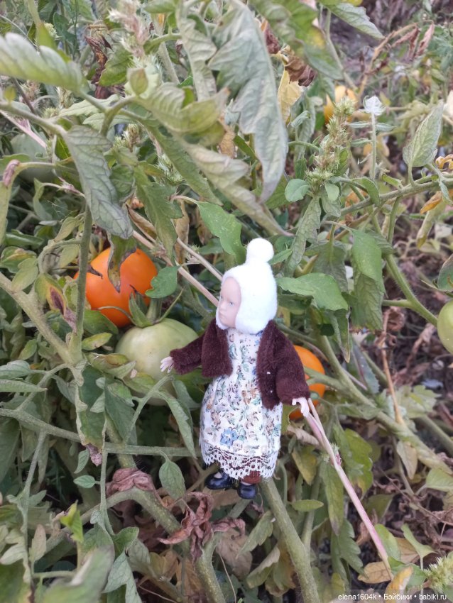 Собираем урожай — Куклы Минимир (Minimir): Пупсы 7 и 11 см (фото 10)